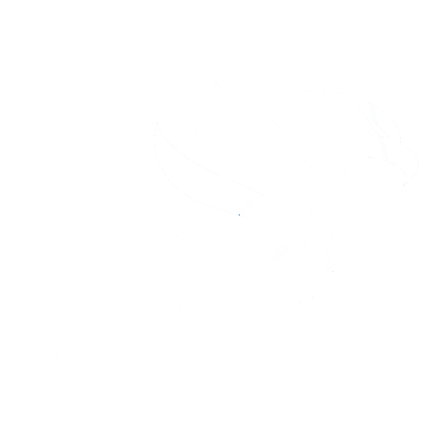 Veteran-owned business logo_white